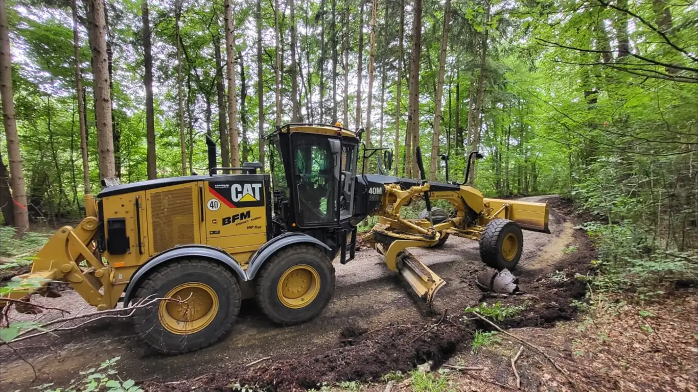 Grader profiliert Waldweg beim Wegebau